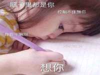 宁夏鼎钰物流有限公司