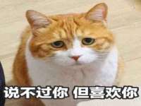 宁夏鼎钰物流有限公司