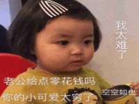 宁夏鼎钰物流有限公司