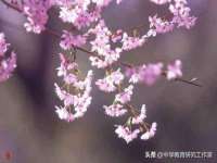 宁夏鼎钰物流有限公司