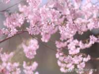 宁夏鼎钰物流有限公司