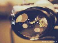 宁夏鼎钰物流有限公司