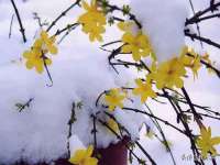 宁夏鼎钰物流有限公司
