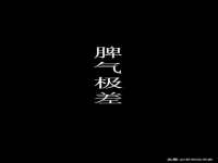宁夏鼎钰物流有限公司