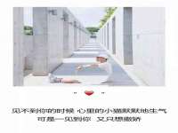 宁夏鼎钰物流有限公司