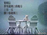 宁夏鼎钰物流有限公司