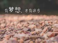 宁夏鼎钰物流有限公司