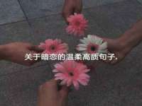 宁夏鼎钰物流有限公司
