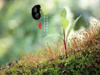 宁夏鼎钰物流有限公司