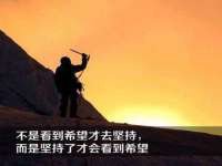 宁夏鼎钰物流有限公司