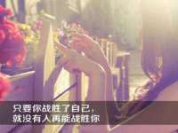 宁夏鼎钰物流有限公司