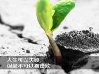 宁夏鼎钰物流有限公司