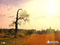宁夏鼎钰物流有限公司