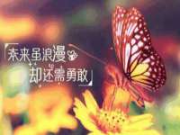 宁夏鼎钰物流有限公司