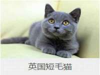 宁夏鼎钰物流有限公司