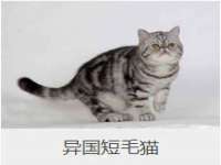 宁夏鼎钰物流有限公司