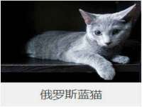 宁夏鼎钰物流有限公司
