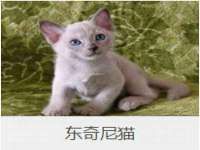 宁夏鼎钰物流有限公司