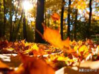 宁夏鼎钰物流有限公司