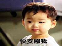 宁夏鼎钰物流有限公司