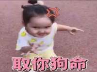 宁夏鼎钰物流有限公司