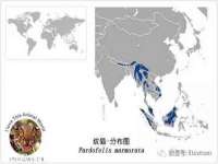 宁夏鼎钰物流有限公司
