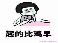 宁夏鼎钰物流有限公司