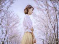 宁夏鼎钰物流有限公司