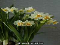 宁夏鼎钰物流有限公司