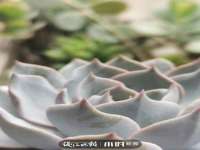 宁夏鼎钰物流有限公司
