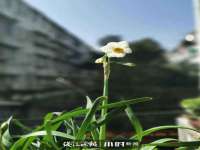宁夏鼎钰物流有限公司