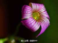 宁夏鼎钰物流有限公司