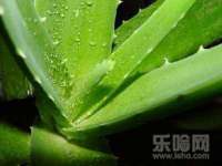 宁夏鼎钰物流有限公司