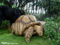 宁夏鼎钰物流有限公司
