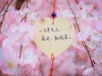宁夏鼎钰物流有限公司