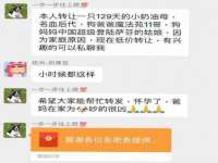 宁夏鼎钰物流有限公司