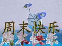 宁夏鼎钰物流有限公司