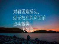 宁夏鼎钰物流有限公司