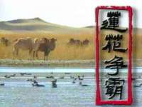 宁夏鼎钰物流有限公司