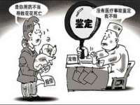 宁夏鼎钰物流有限公司