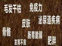 宁夏鼎钰物流有限公司