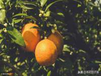 宁夏鼎钰物流有限公司
