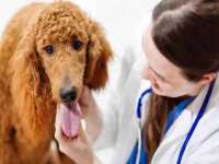 宁夏鼎钰物流有限公司