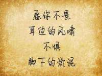 宁夏鼎钰物流有限公司