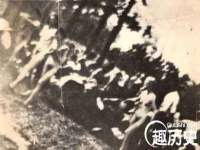 宁夏鼎钰物流有限公司