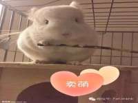 宁夏鼎钰物流有限公司