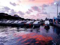 宁夏鼎钰物流有限公司
