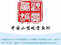 宁夏鼎钰物流有限公司