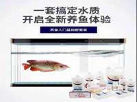 宁夏鼎钰物流有限公司