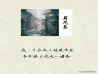 宁夏鼎钰物流有限公司